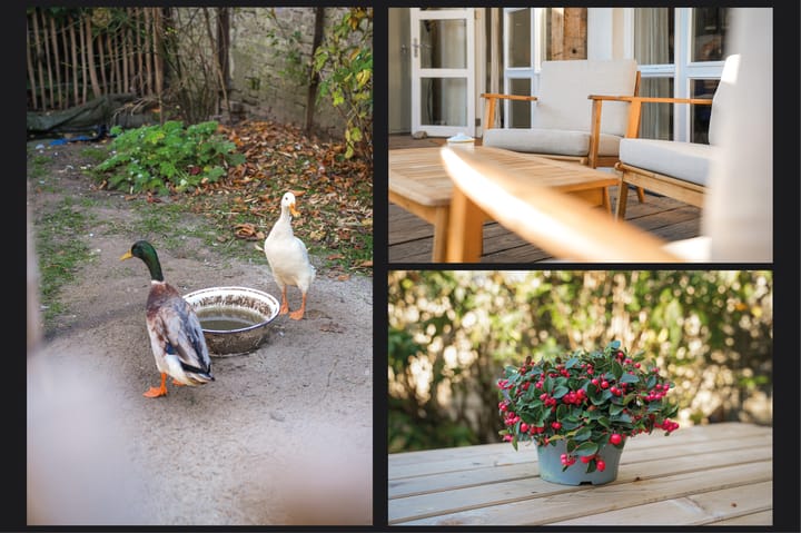 Photo 40 of Hogestraat 35