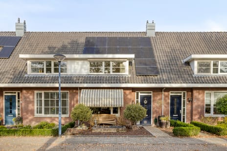 undefined main image