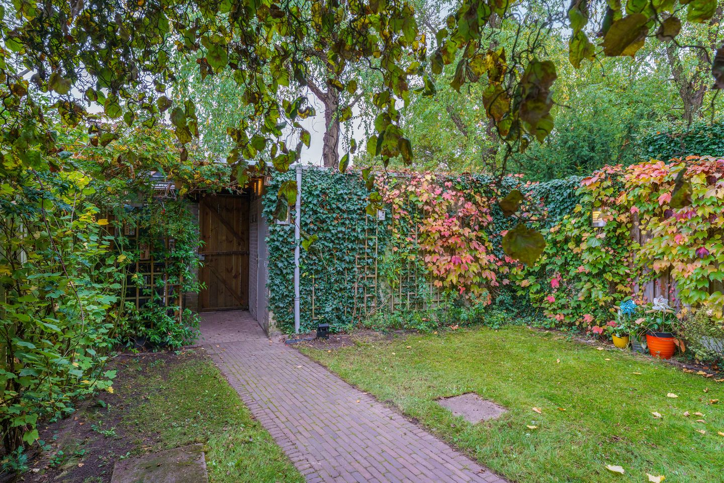 Foto 49 van Eimerick 75