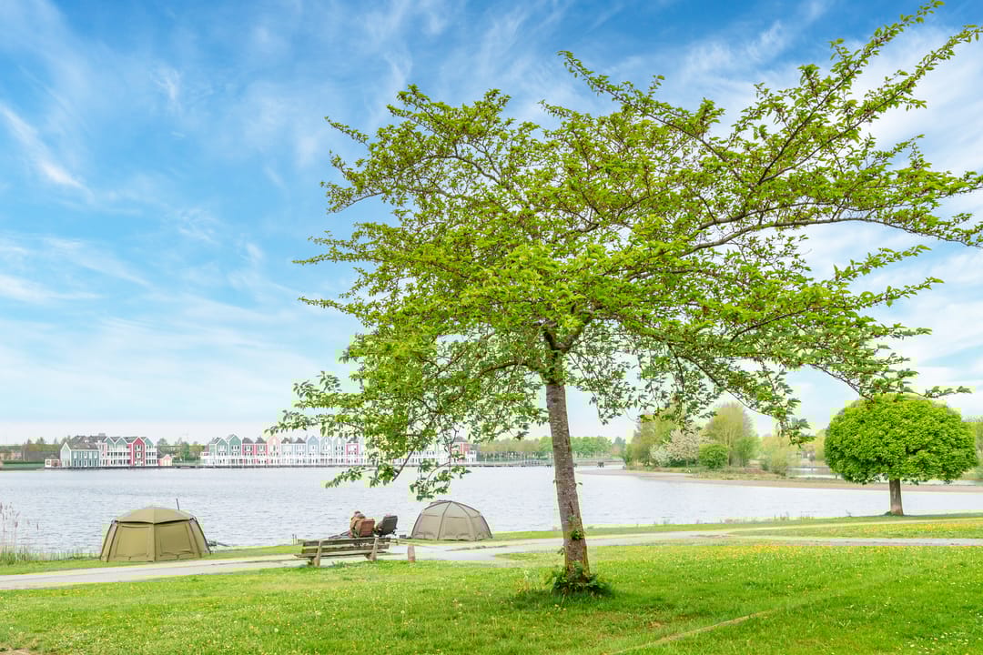 Photo 46 of Regenmeer 1