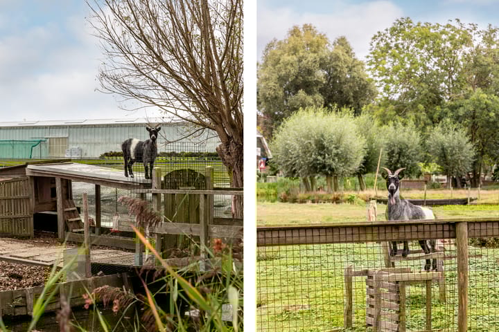 Photo 55 of Randenburgseweg 19-A