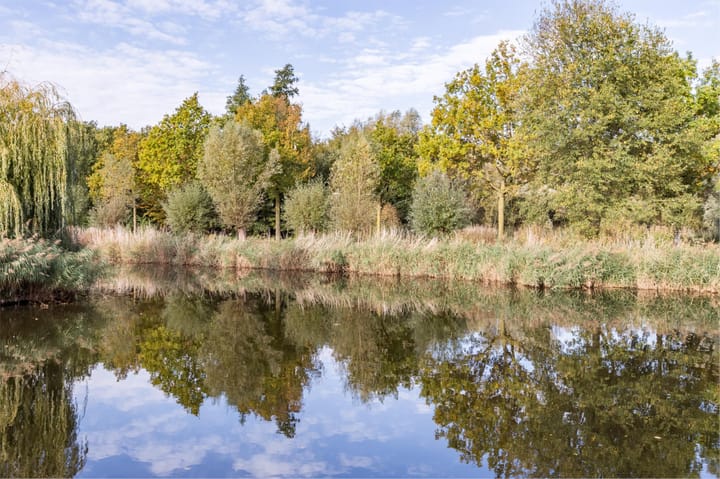 Foto 31 van Gooise Kant 12