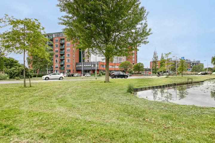 Photo 24 of Julianahof 171