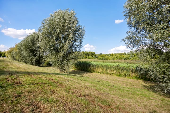 Photo 37 of Sleutelbloemstraat 7