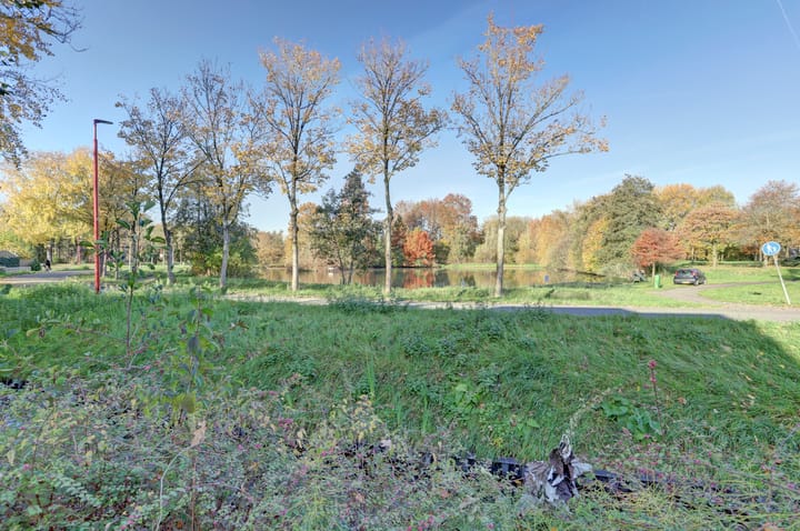 Foto 31 van Petuniahof 21