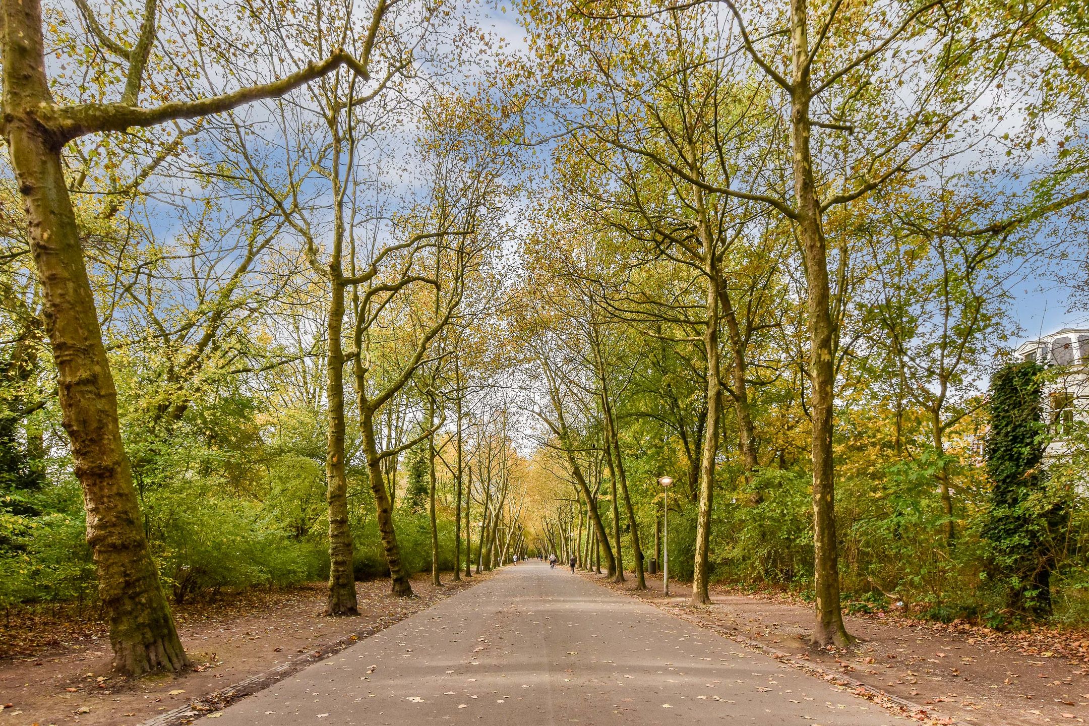 Foto 21 van Saxenburgerdwarsstraat 7-1