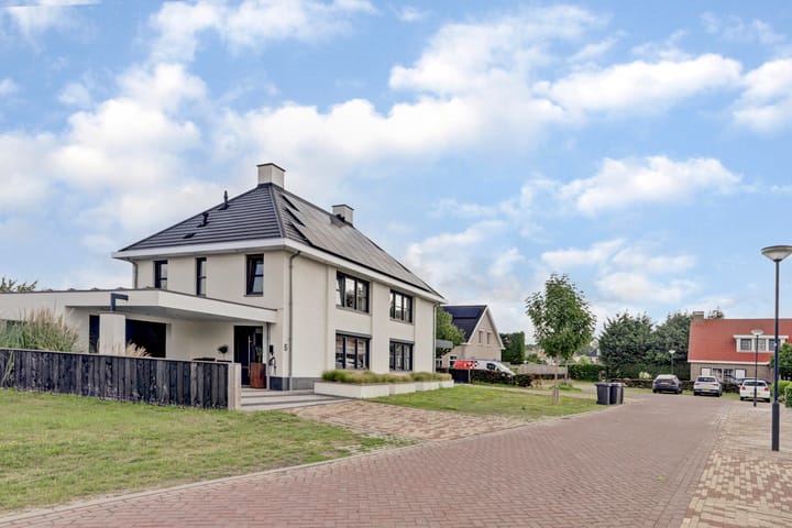 Foto 5 van Pieter de Hoochlaan 5