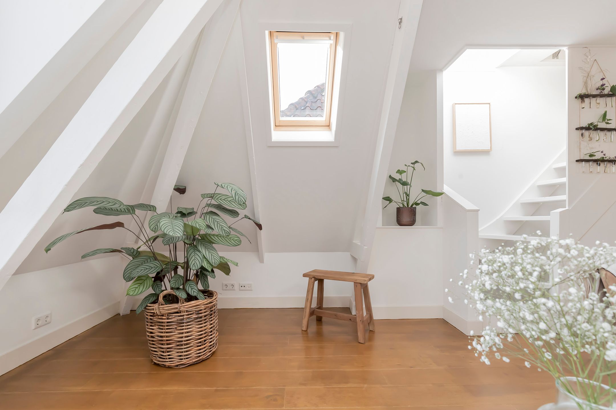 Foto 6 van Van Oldenbarneveldtstraat 108-3