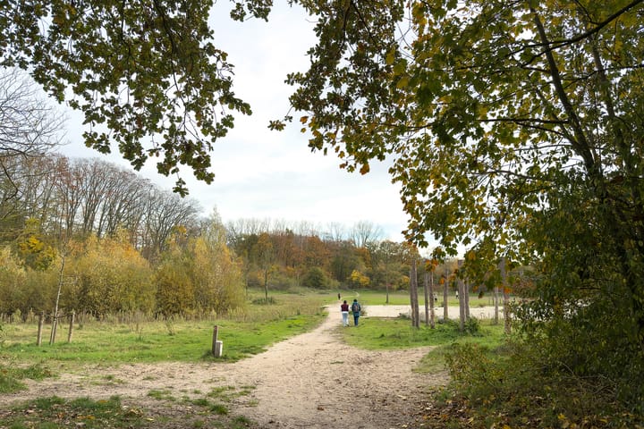 Photo 24 of Anthony Fokkerweg 216