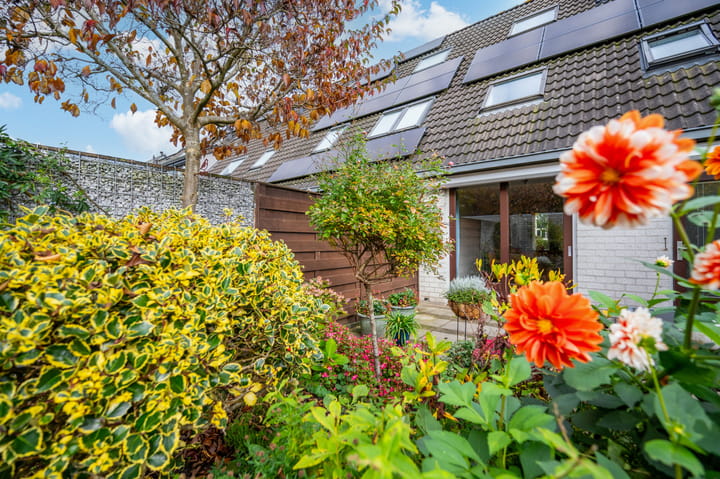 Foto 12 van Tenderlaan 13