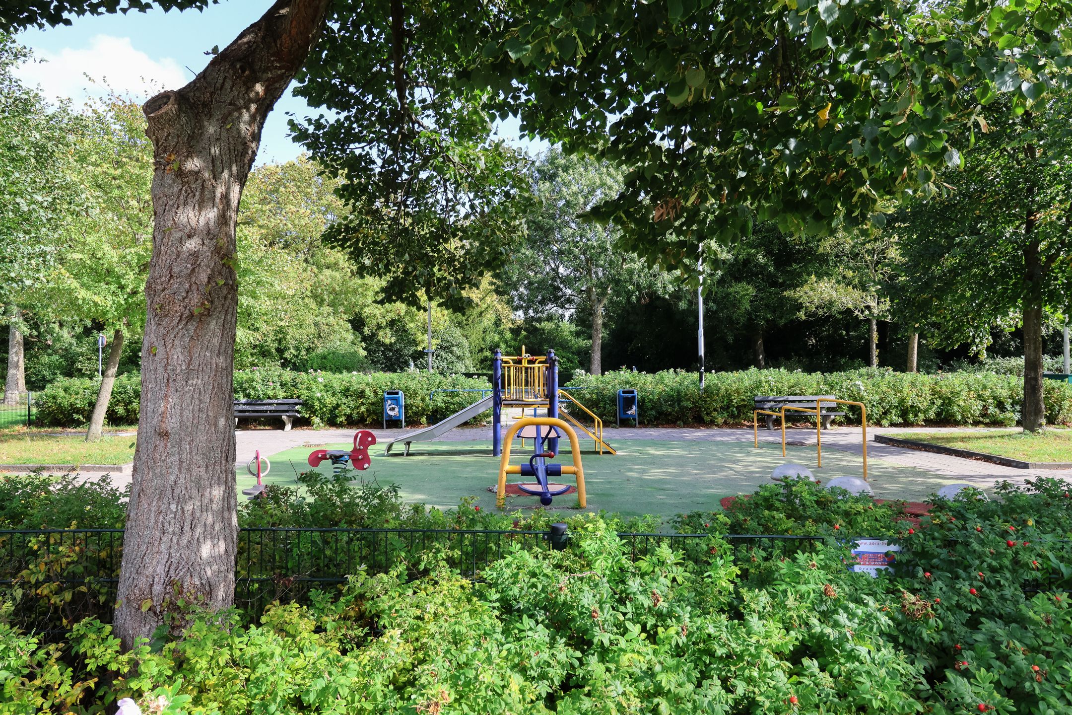 Foto 42 van Pieter Pauwstraat 1