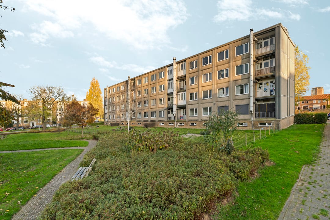 Photo 31 of Lisdoddelaan 2-2