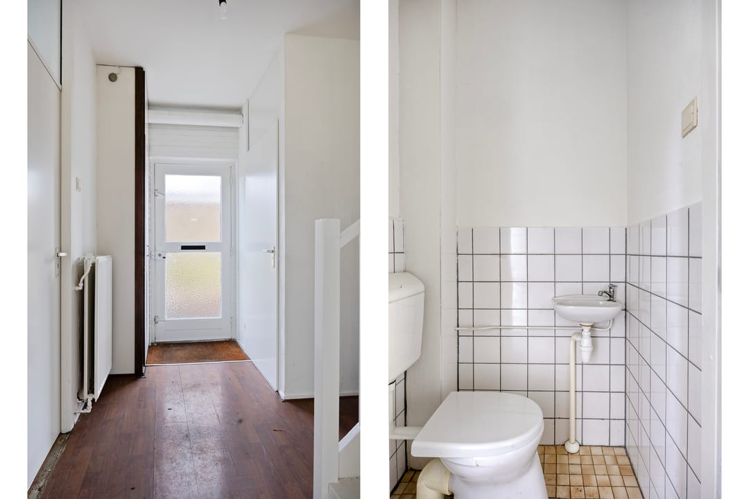 Foto 11 van Vlasleeuwenbek 12