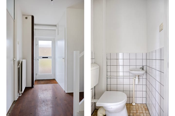 Photo 11 of Vlasleeuwenbek 12