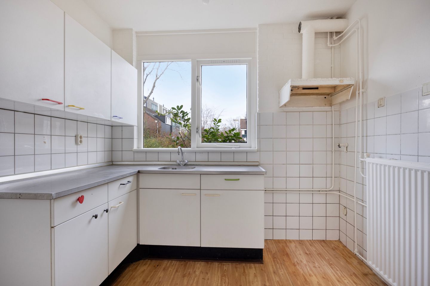 Foto 10 van Vlasleeuwenbek 12