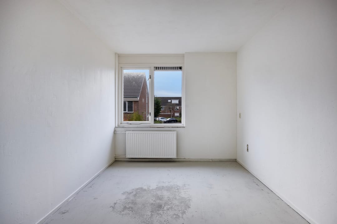 Foto 13 van Vlasleeuwenbek 12