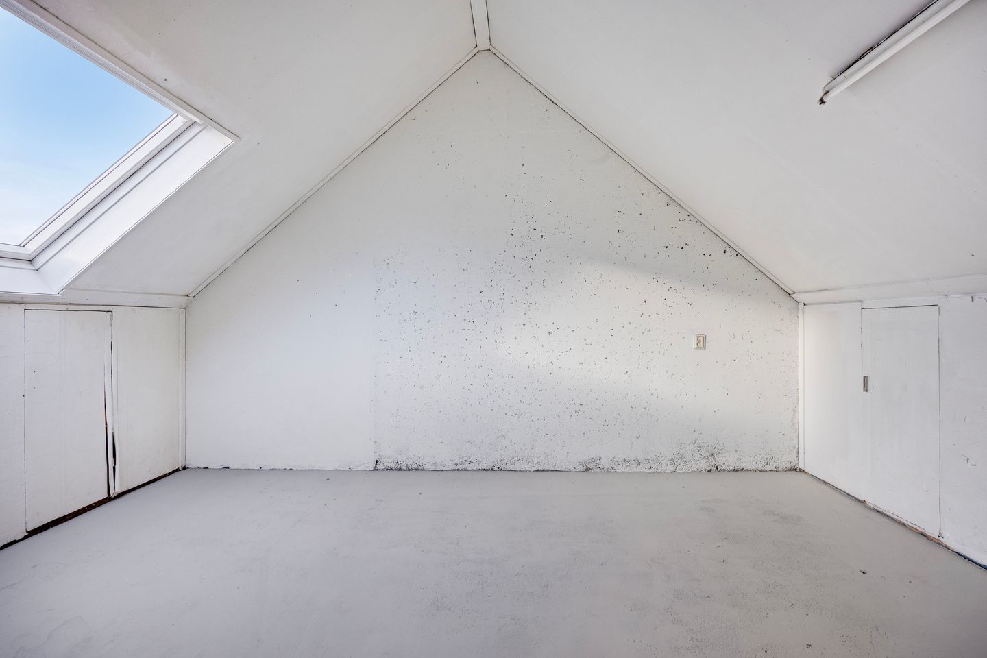 Foto 20 van Vlasleeuwenbek 12