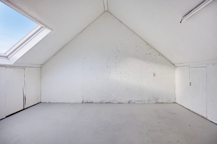 Photo 20 of Vlasleeuwenbek 12