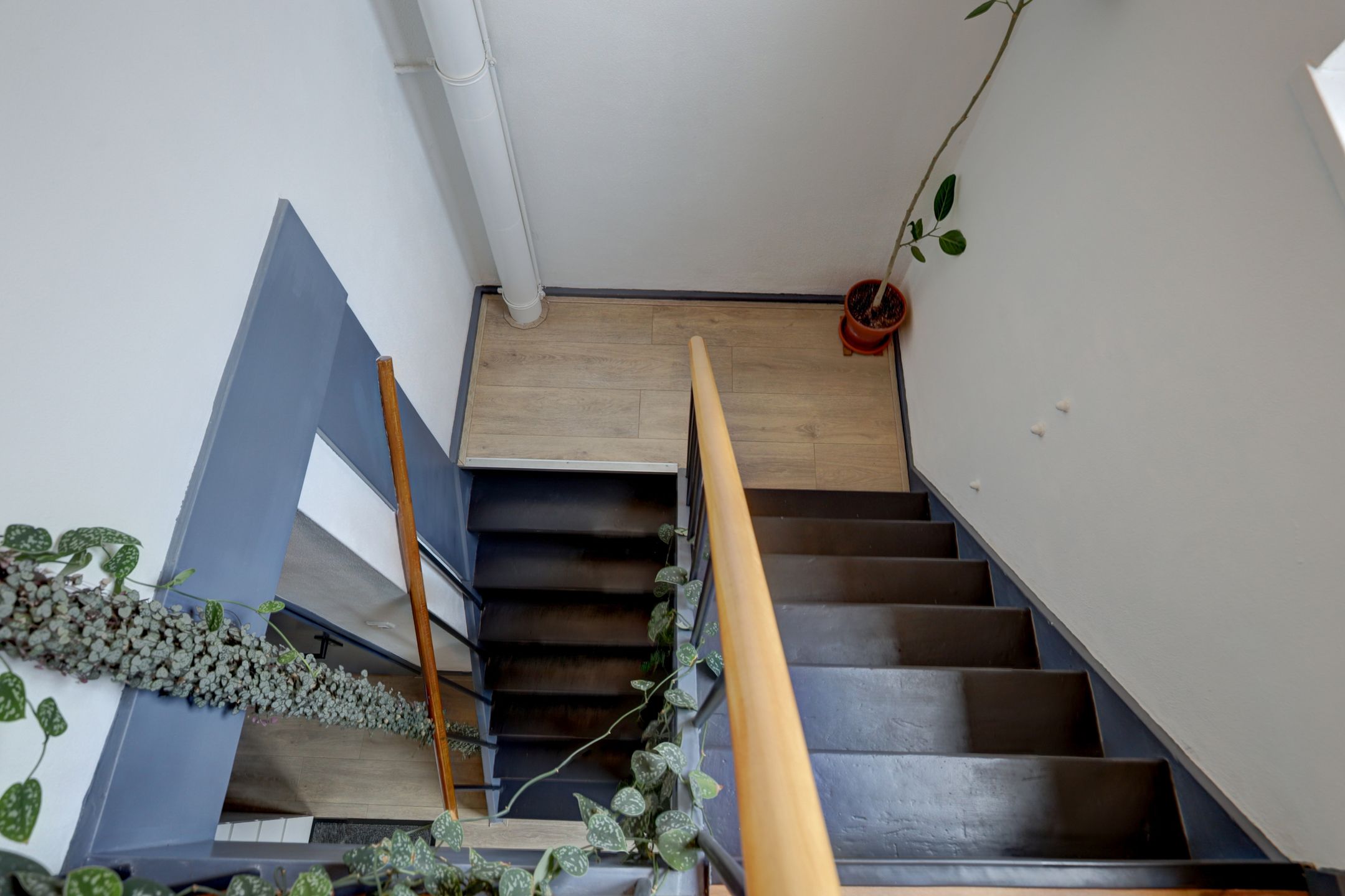 Photo 18 of Sluis Noord 8