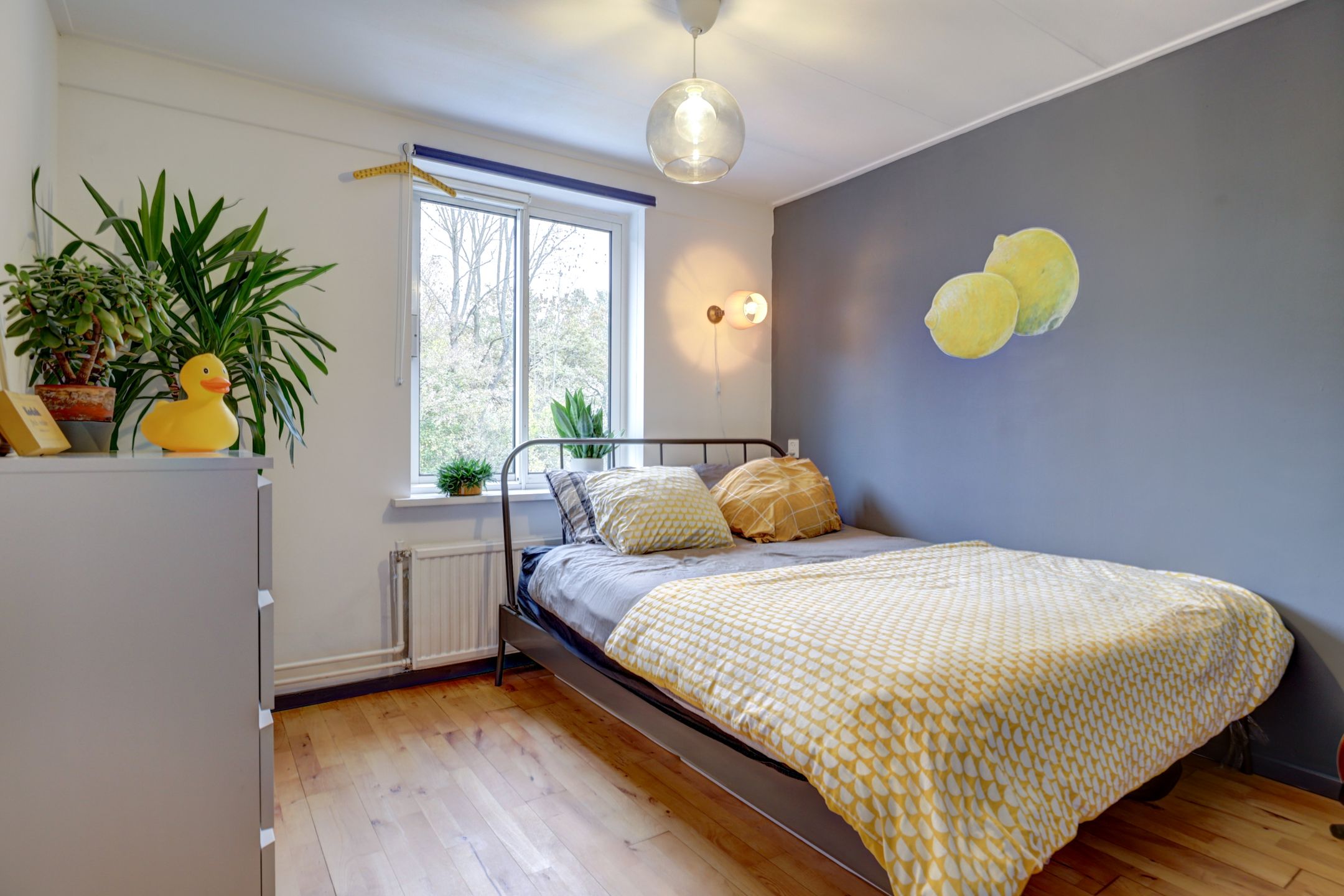 Photo 21 of Sluis Noord 8