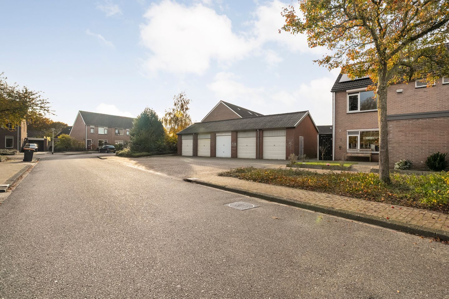 Foto 4 van Wilgenstuk 44