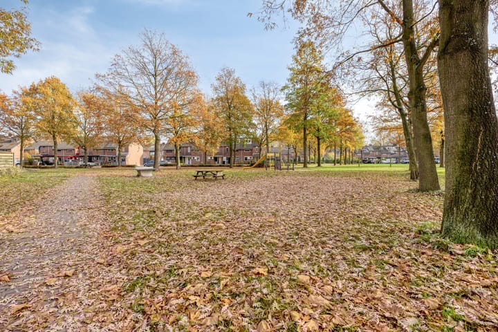 Photo 50 of Buitenhof 72