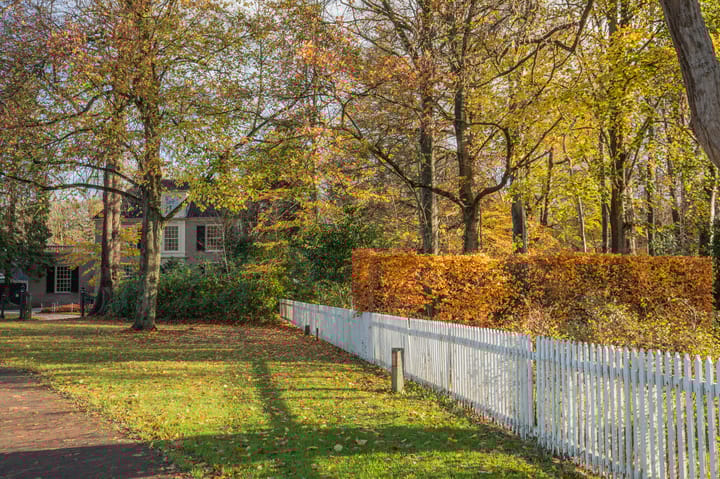 Foto 42 van Zuidhaege 4