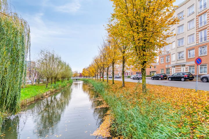 Photo 4 of Freyjaplantsoen 3