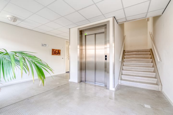 Photo 6 of Freyjaplantsoen 3