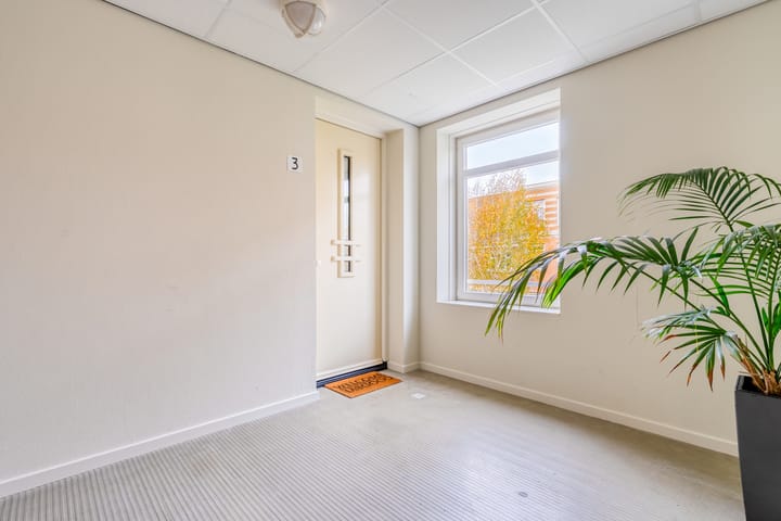 Photo 7 of Freyjaplantsoen 3