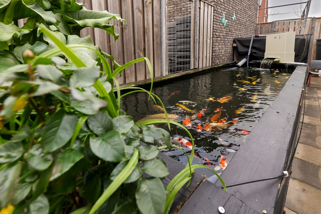 Photo 32 of Koninginnepage 29