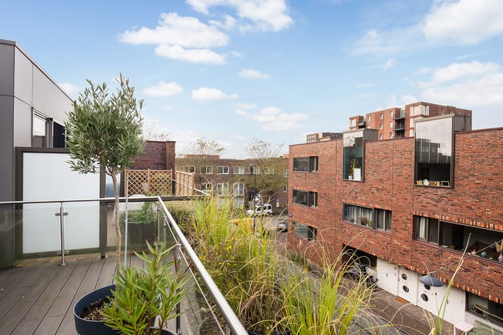 Photo 7 of Annie Boshof 6