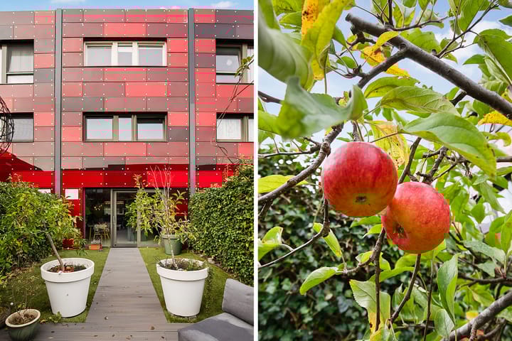 Photo 30 of Annie Boshof 6