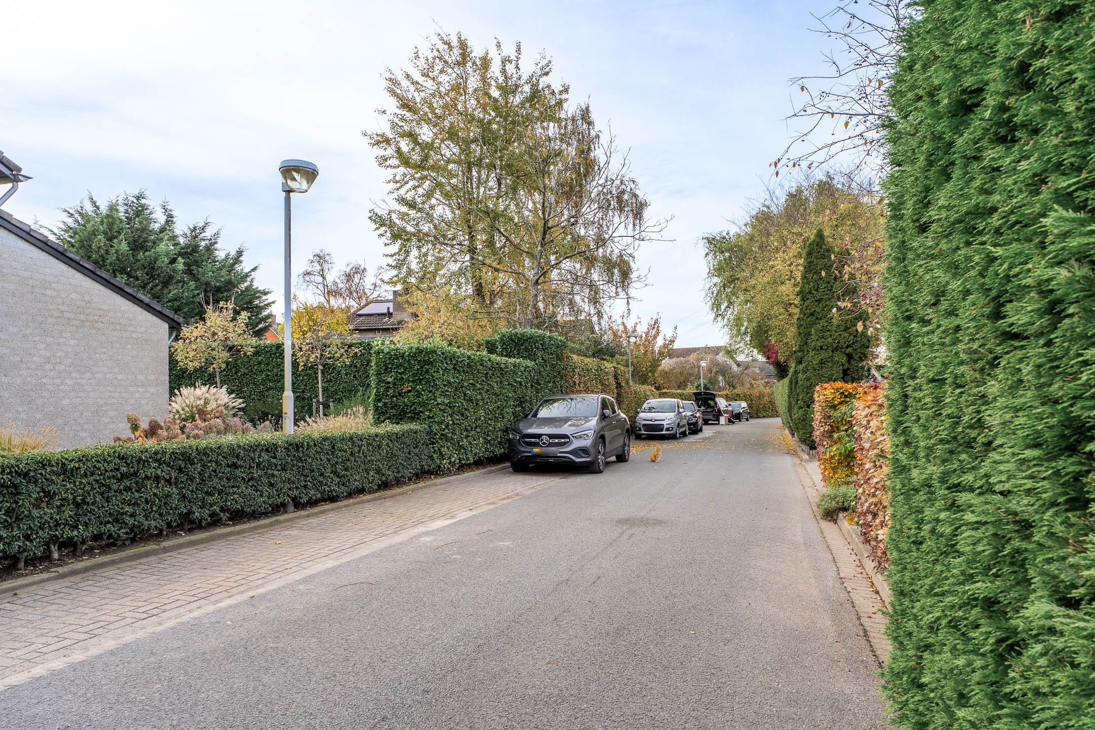 Foto 27 van Burgemeester Vlaklaan 10