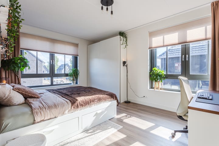 Photo 17 of Aleksandr Prochorovstraat 51