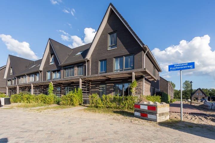 Photo 44 of Aleksandr Prochorovstraat 51