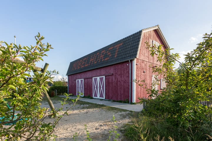 Photo 49 of Aleksandr Prochorovstraat 51