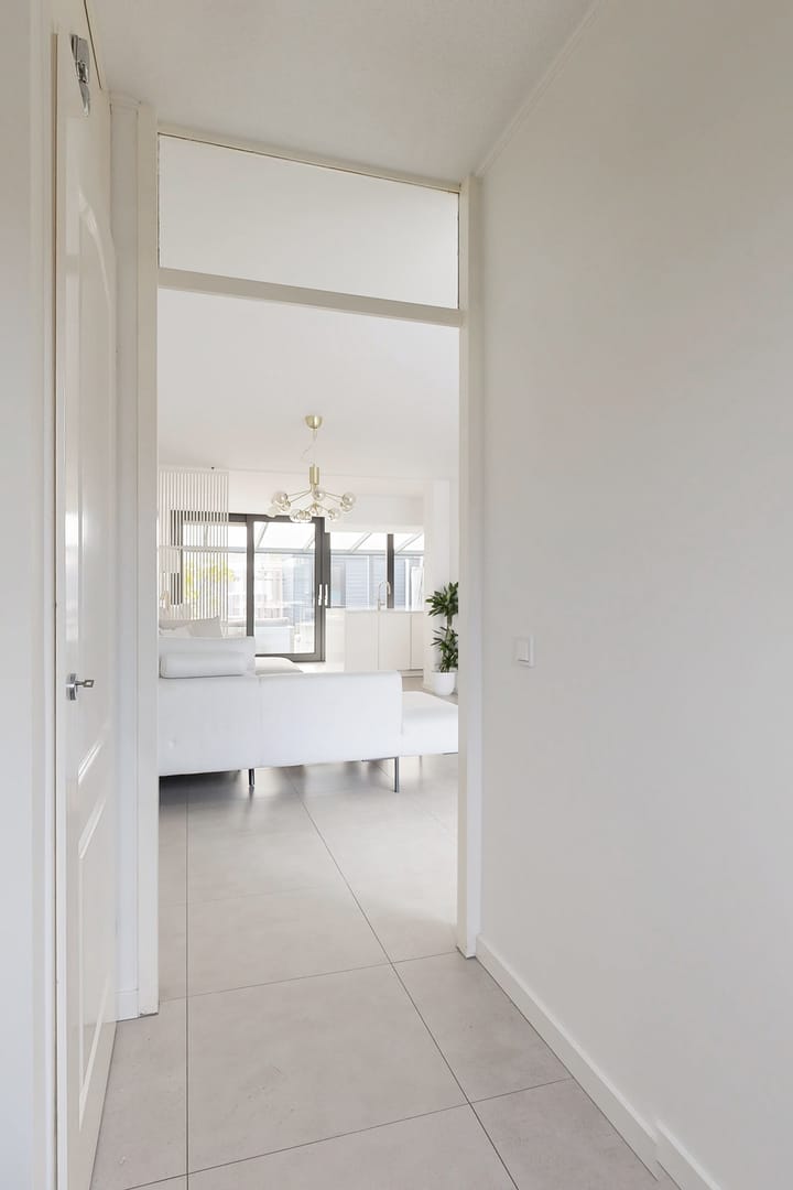 Photo 7 of Korenbloem 7