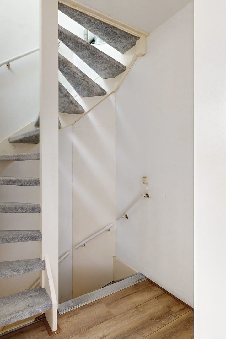 Photo 29 of Korenbloem 7