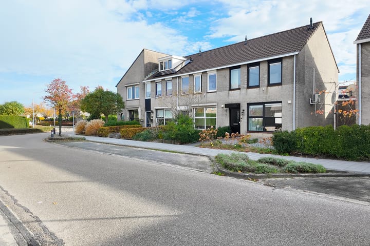 Photo 58 of Korenbloem 7