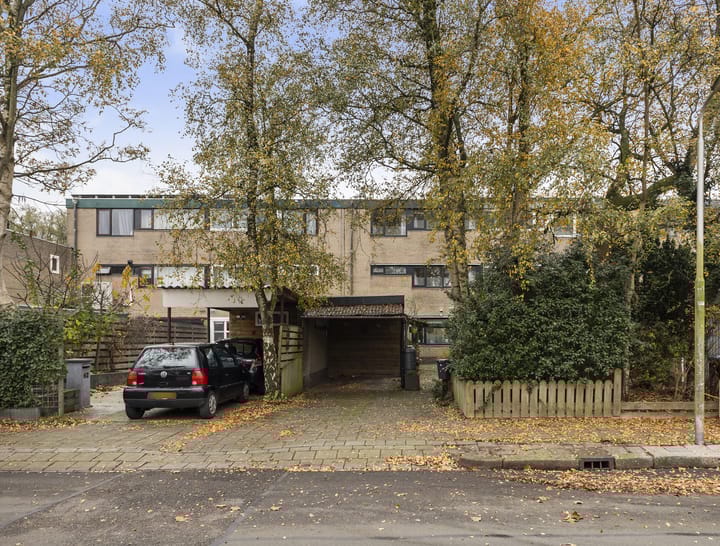 Photo 1 of de Anjen 60