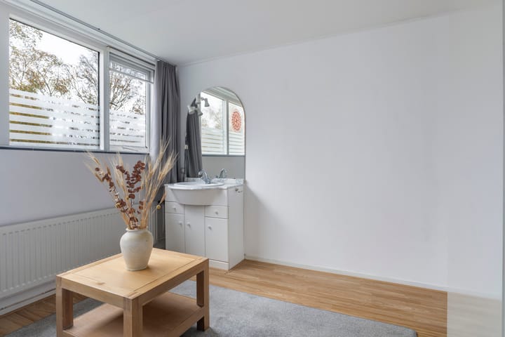 Photo 24 of de Anjen 60