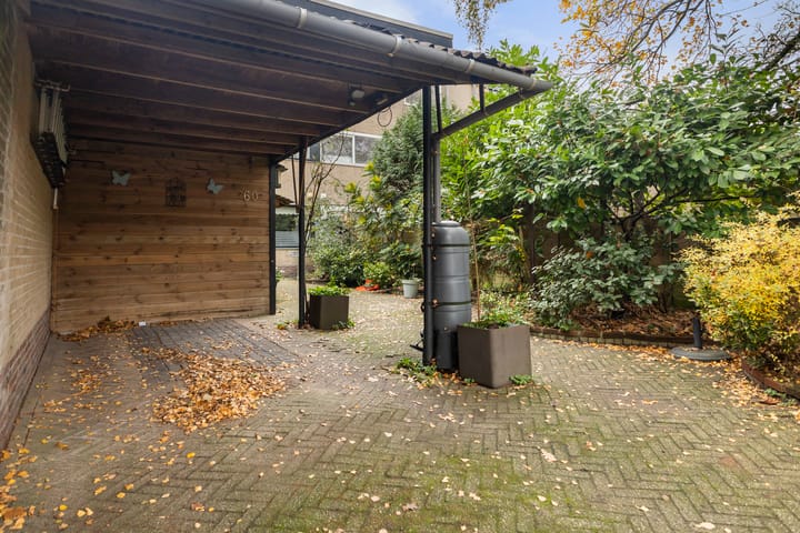 Photo 42 of de Anjen 60