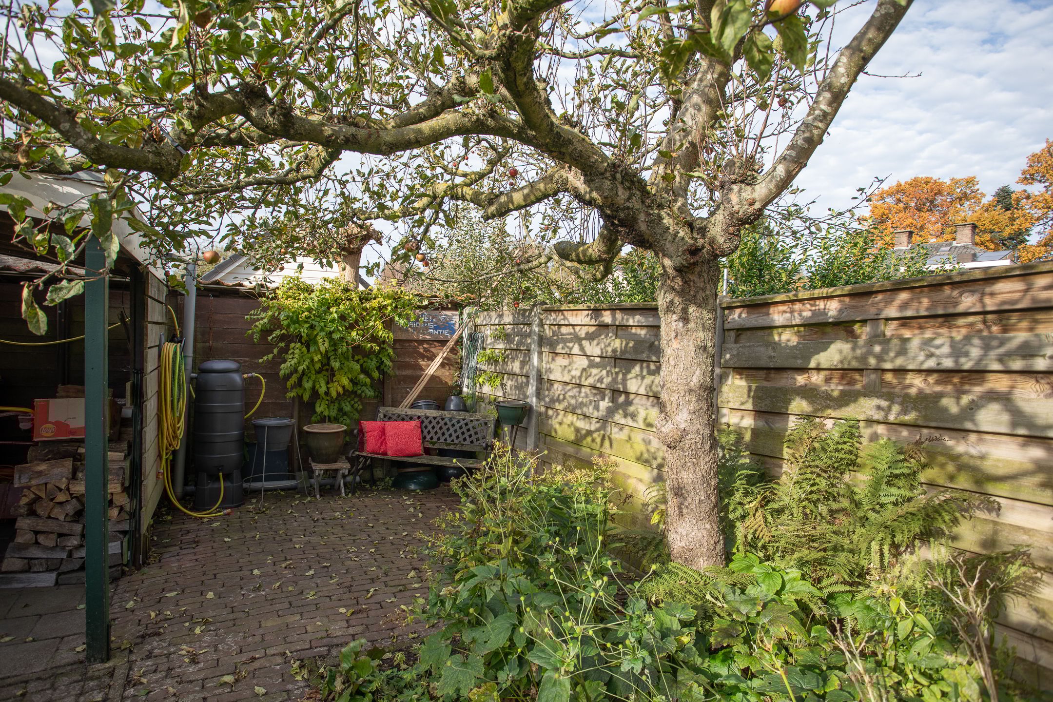 Foto 51 van Kastanjelaan 13