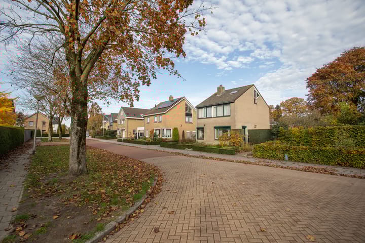 Foto 69 van Kastanjelaan 13