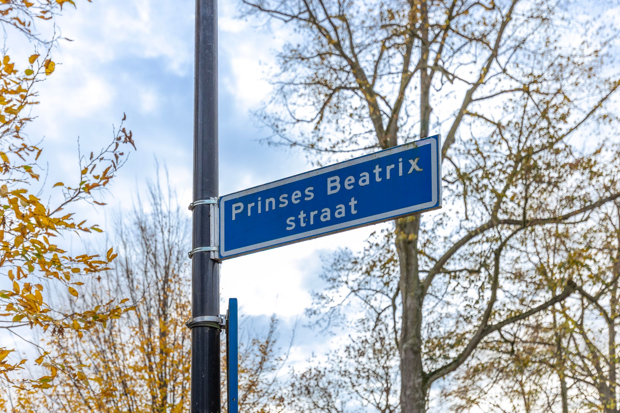 Foto 51 van Prinses Beatrixstraat 19