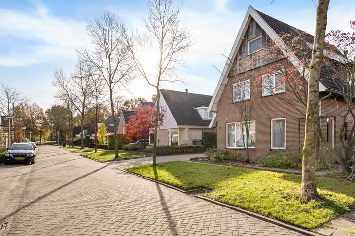 Photo 52 of Vincent van Goghlaan 88