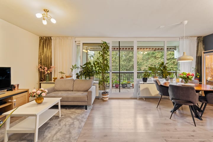 Photo 2 of Rigoletto 137