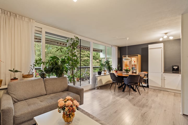 Photo 6 of Rigoletto 137