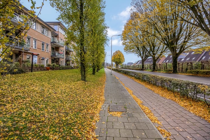 Photo 75 of Meester Linssenhof 25